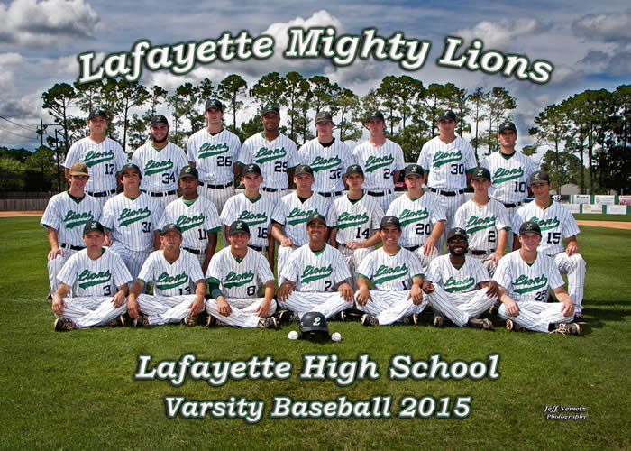 15002 LHS Lions Baseball Team